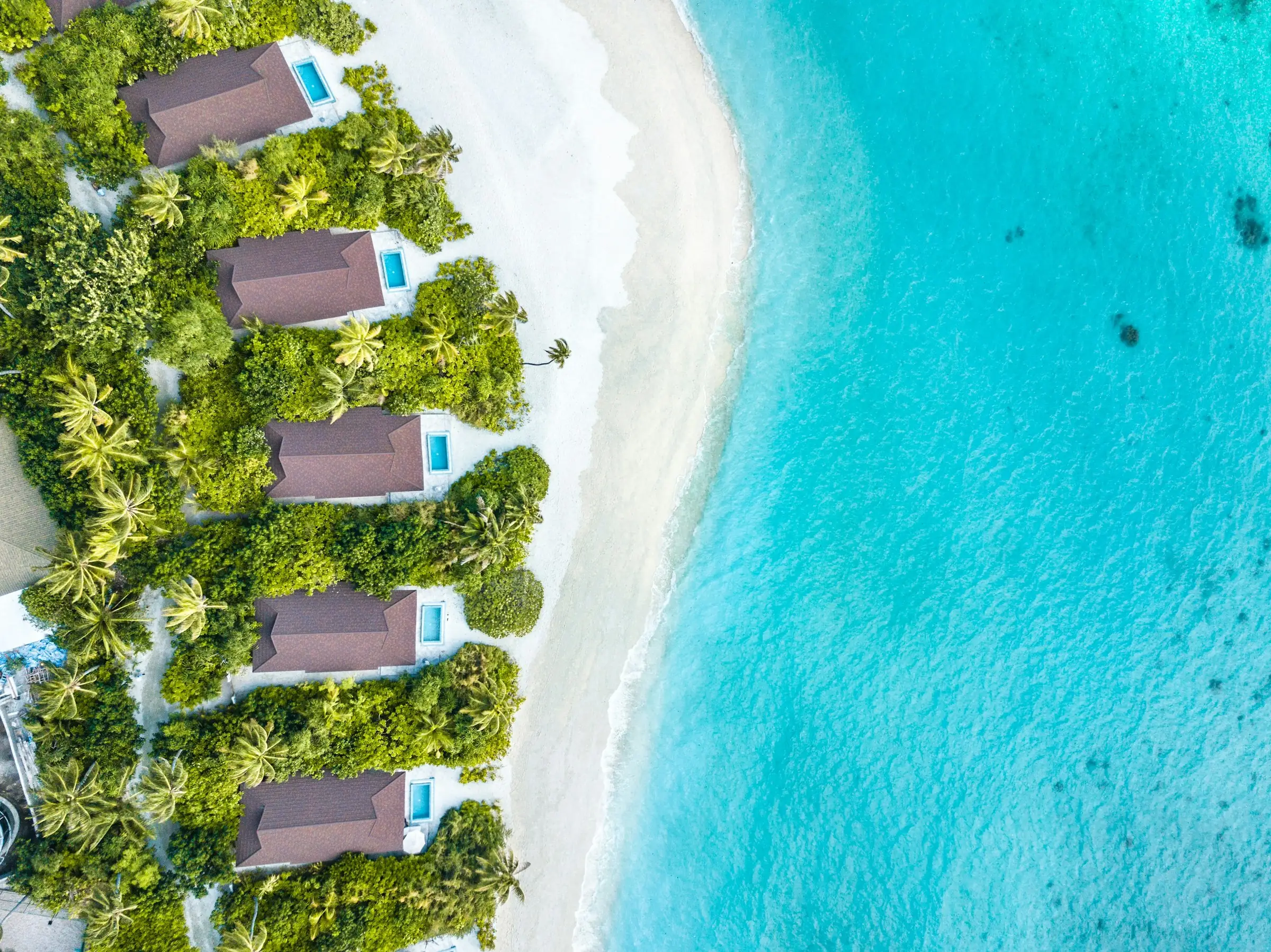 Aerial view of beach villas among palm trees beside a turquoise lagoon